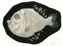 fish-hatchet1.jpg