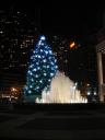 christmas-tree.jpg