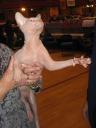 gollum2.jpg