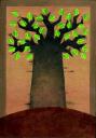 baobab1.jpg