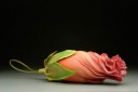 dustin_hibiscus-375x251
