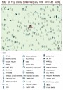 23_map