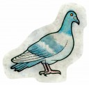 pigeon