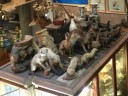 taxidermy-assortment