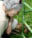 sloth-baby4