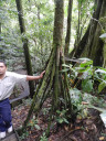 walking-tree