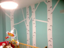 trees5