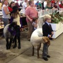 small-boy-with-sheep