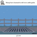 tumblr_muenp4UGtc1qewacoo10_r1_500