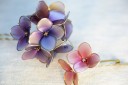 Realistic-flowers-11767