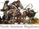 na-megafauna