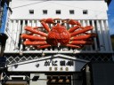 crabatorium-crab1