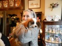 dog-cafe1