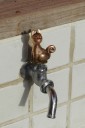 ghibli-museum4