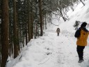 snowmonkeys3