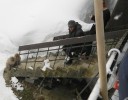 snowmonkeys5