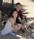 goats1