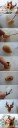 needlefelting1