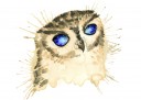 elizabeth_turner_elizabethdraws-com_14-11-17_starryowl
