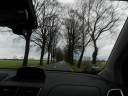 trees-on-the-side-of-the-road