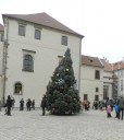 janky-tree1