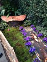 botanical-garden13