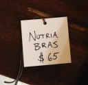 nutria1