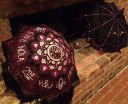parasol2
