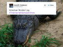 good-thing-the-internet-is-not-allowed-to-name-animals-photos-1