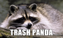 renaming-animals-emgn-8